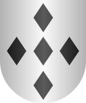 ESCUDO SIGUIENTE